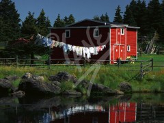 Conception Harbour